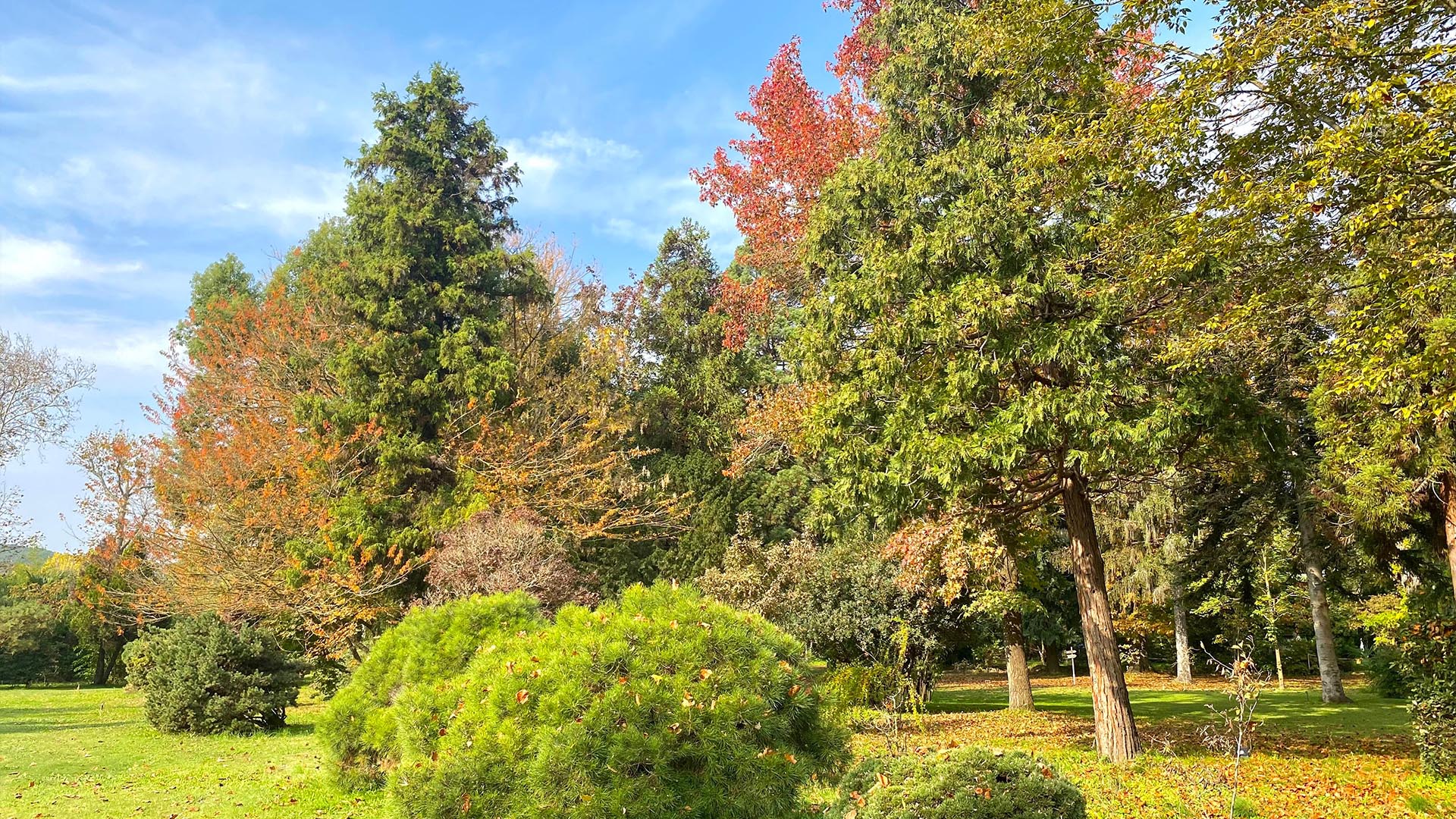 Yalova Karaca Sonbahar (6)