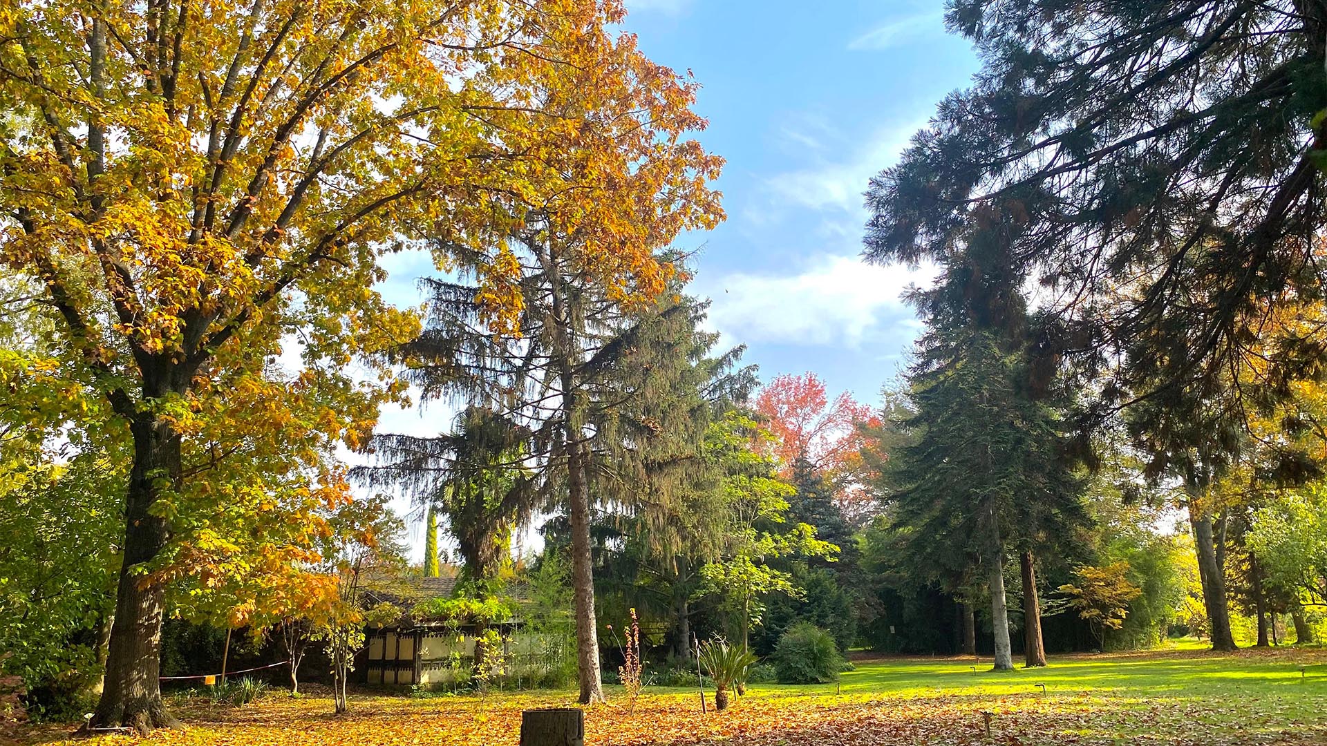 Yalova Karaca Sonbahar (8)