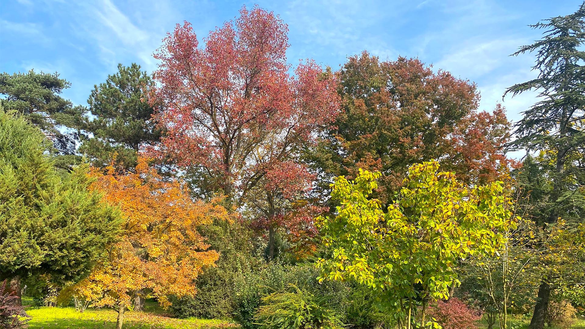 Yalova Karaca Sonbahar