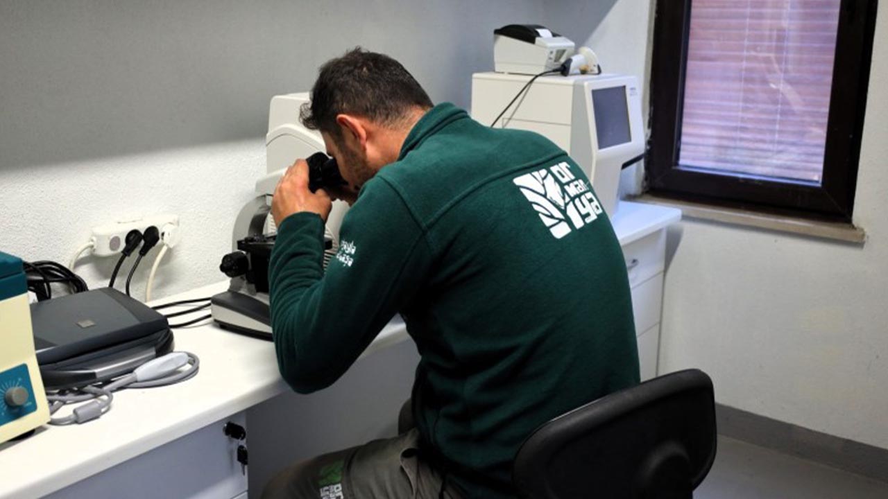 Yalova Kocaeli Ormanya Dogal Yasam Merkez Hayvan Tedavi (3)