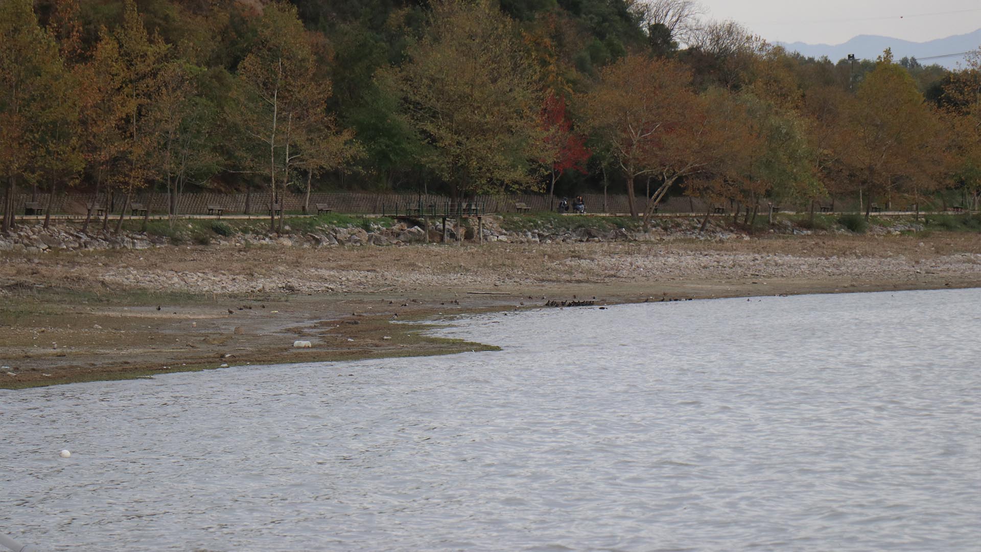 Yalova Kocaeli Sabanca Gol Kabarcik Fokurmada Esrarengiz Goruntu (3)
