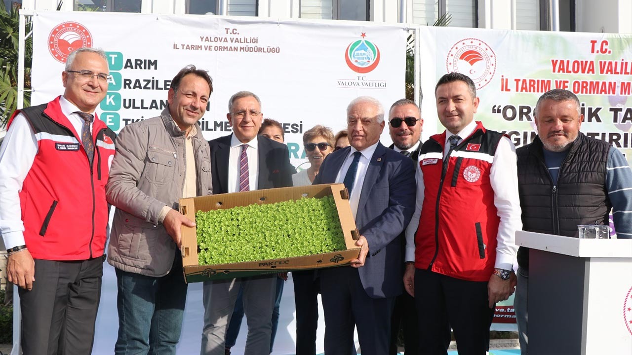 Yalova Organik Aronya Gubre Marul Fide Dagitim Il Tarim Haber (1)