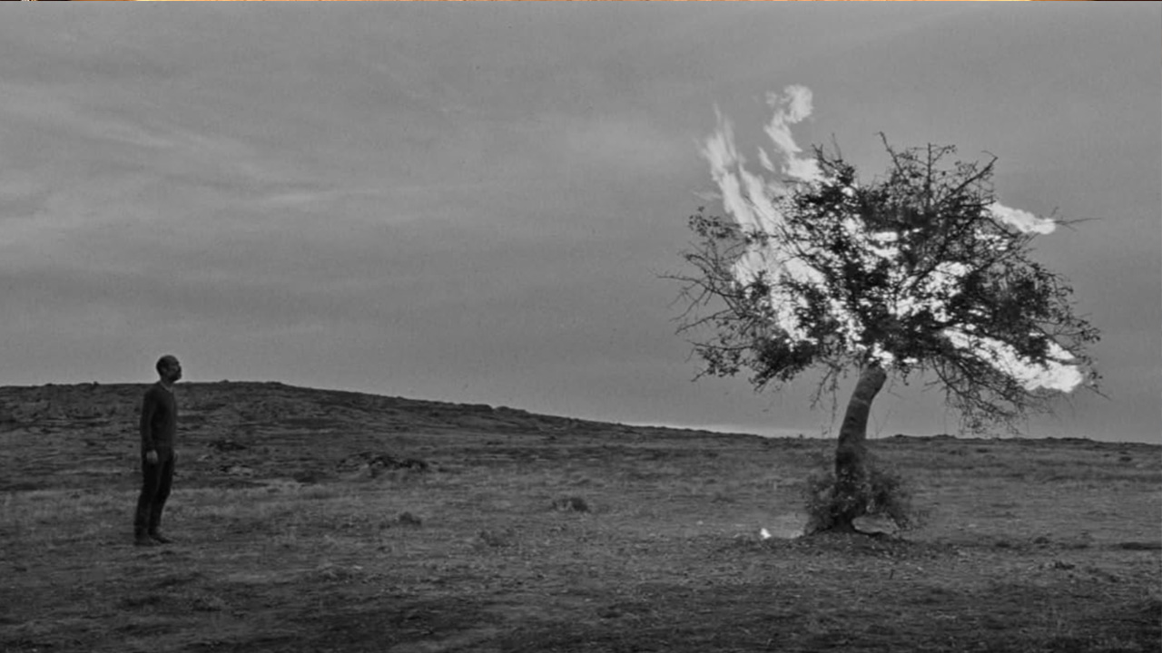 Yalova Sinema Bulusma Semih Kaplanoglu Bugday (1)