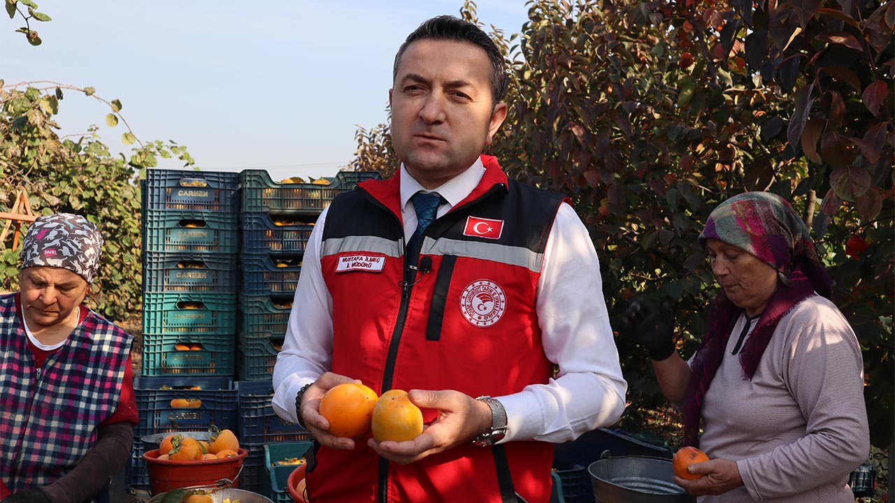 Yalova Trabzon Hurma Hasat Ilmec Denetim Inceleme (1)
