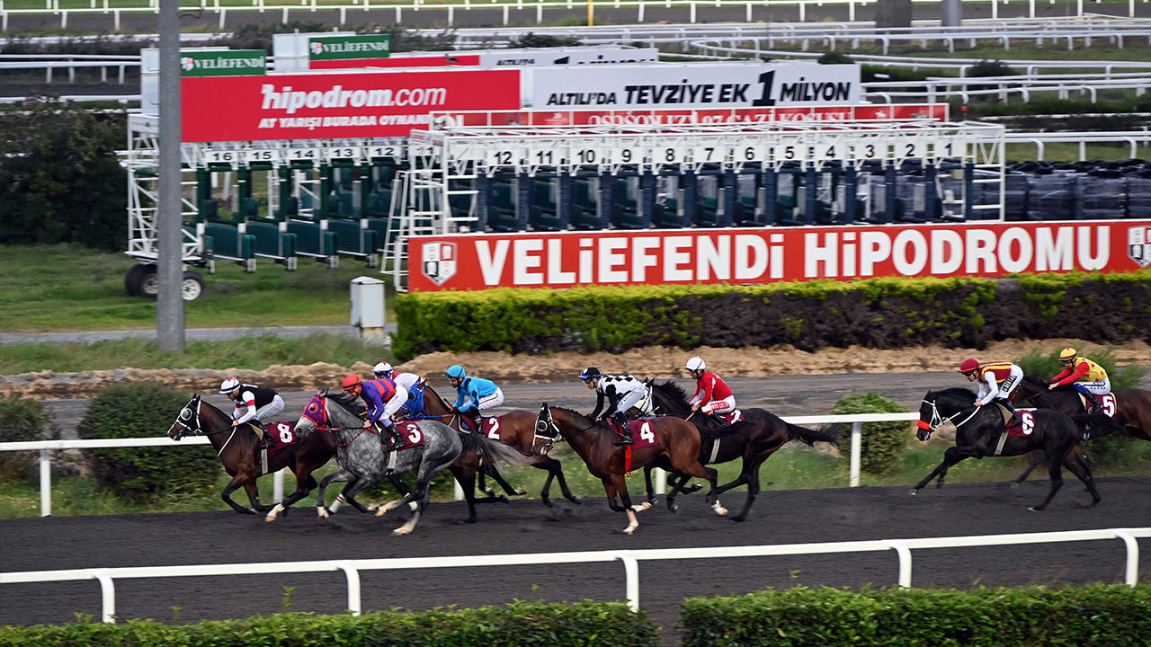 Yalova Turkiye Jokey Kulubu Yuruyen Kosk Kosu Belediye Ortaklik (2)