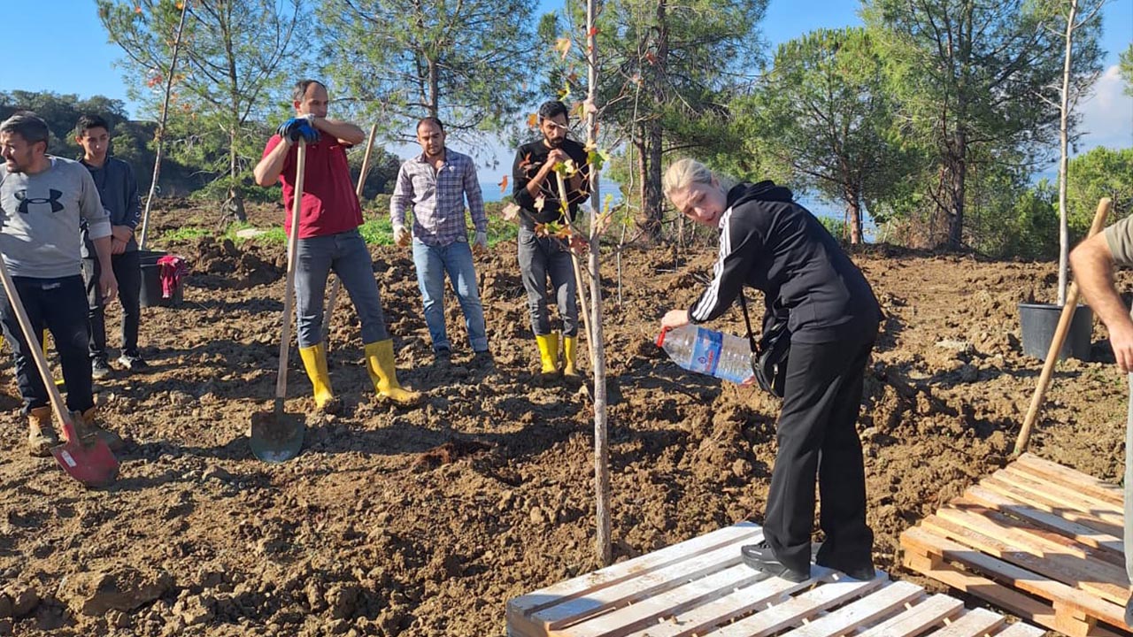 Yalova Üniversite Mühendislik Anma