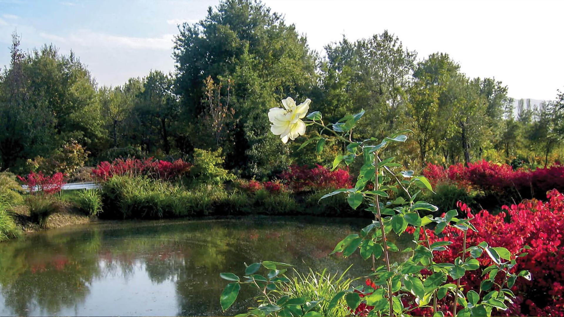 Yalova Sohbahar Gezi (5)