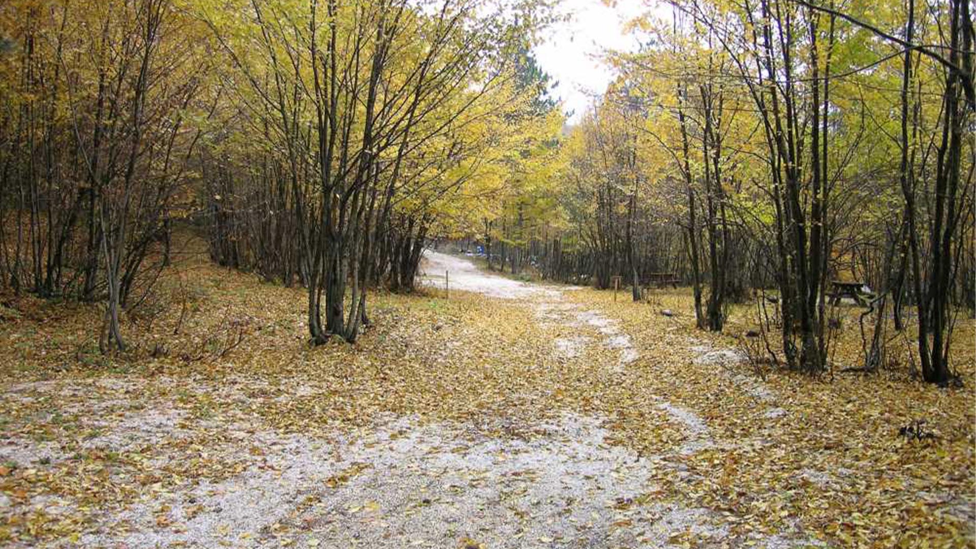 Yalova Sohbahar Gezi