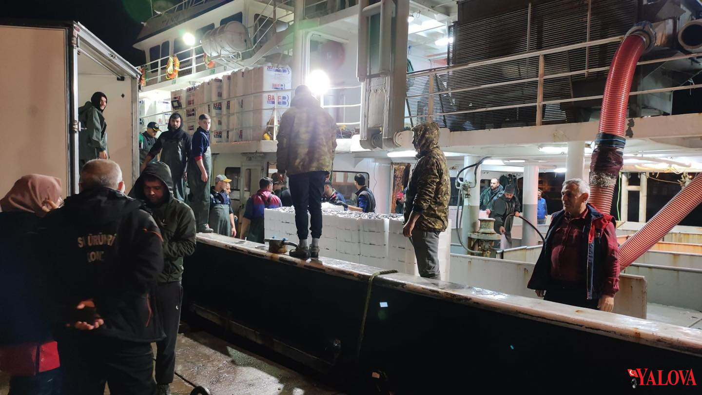 113 Kilo Hamsi Karaya Çıkarıldı (1)