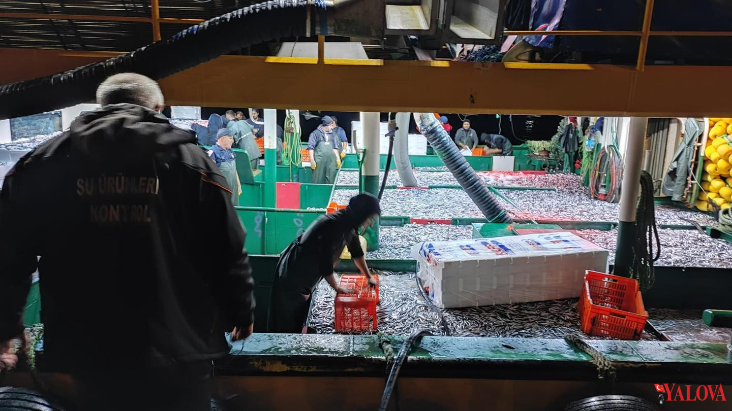 113 Kilo Hamsi Karaya Çıkarıldı (2)