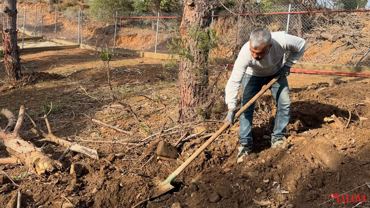 Armutlu Belediyesi’nden Yeni Hayvan Barınağında Doğal Yaşam Alanları (3)