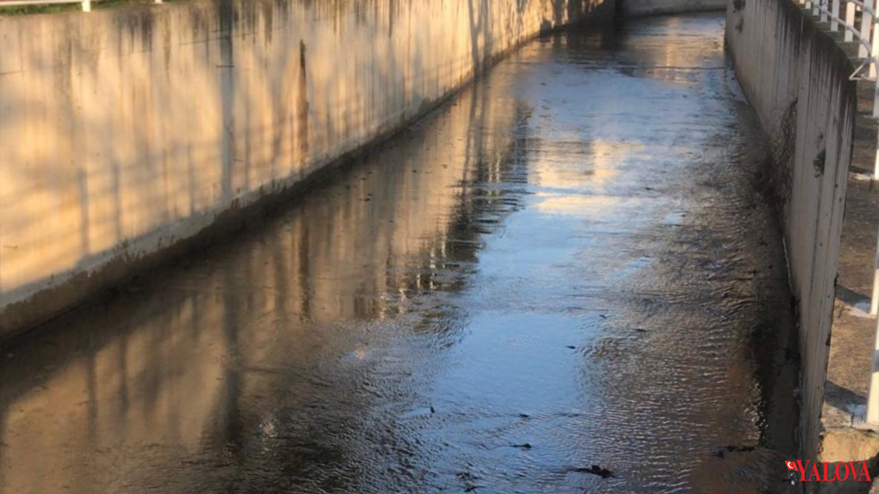 Armutlu’da Dere Temizliği Tamamlandı (3)