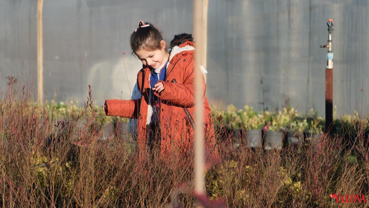 Çiftlikköy Öğrenciler Çiçek Üretimini Yerinde Öğrendi (1)