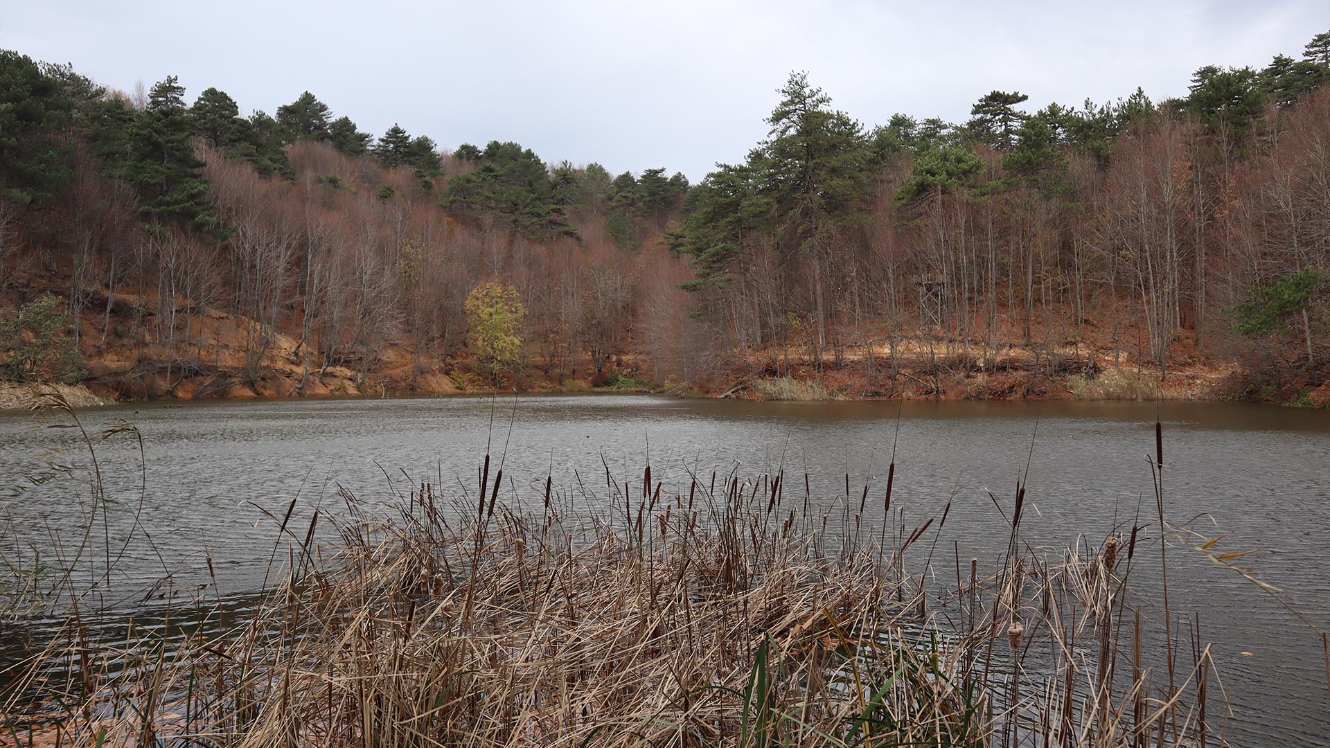 Dipsizgöl Çınarcık Teşvikiye (2)