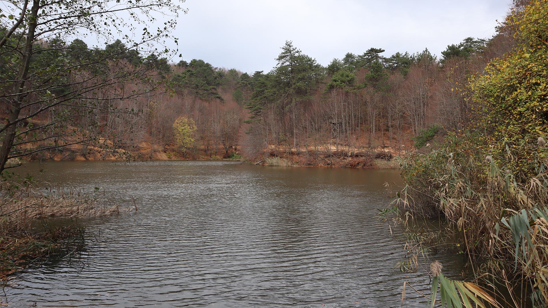Dipsizgöl Çınarcık Teşvikiye