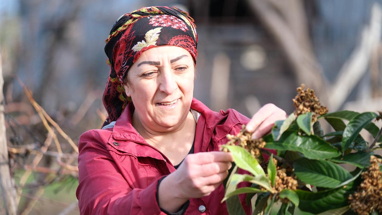 Dünya Toprak Günü Haberi (2)