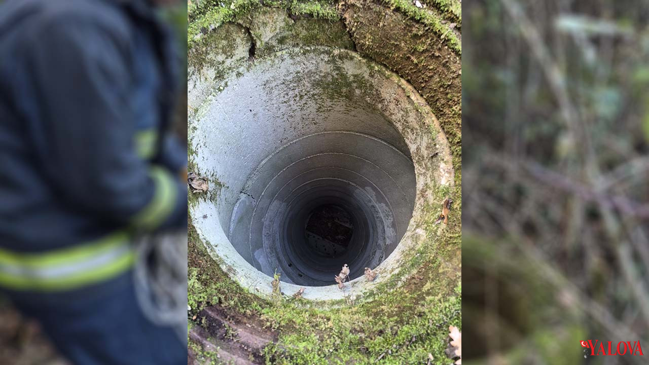 Kuyuya Düşen Keçi Kurtarıldı (1)