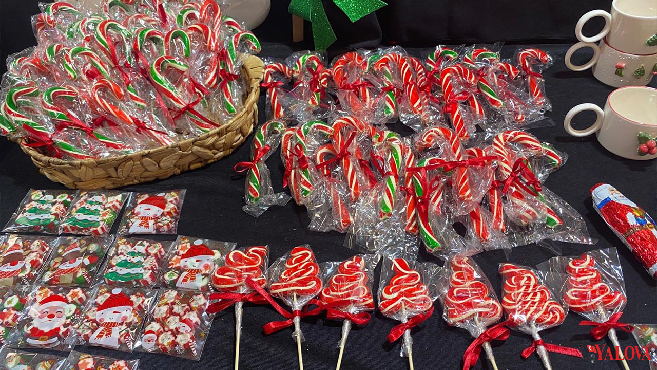 Vega Avm’de Yılbaşı Festivali Başladı (3)