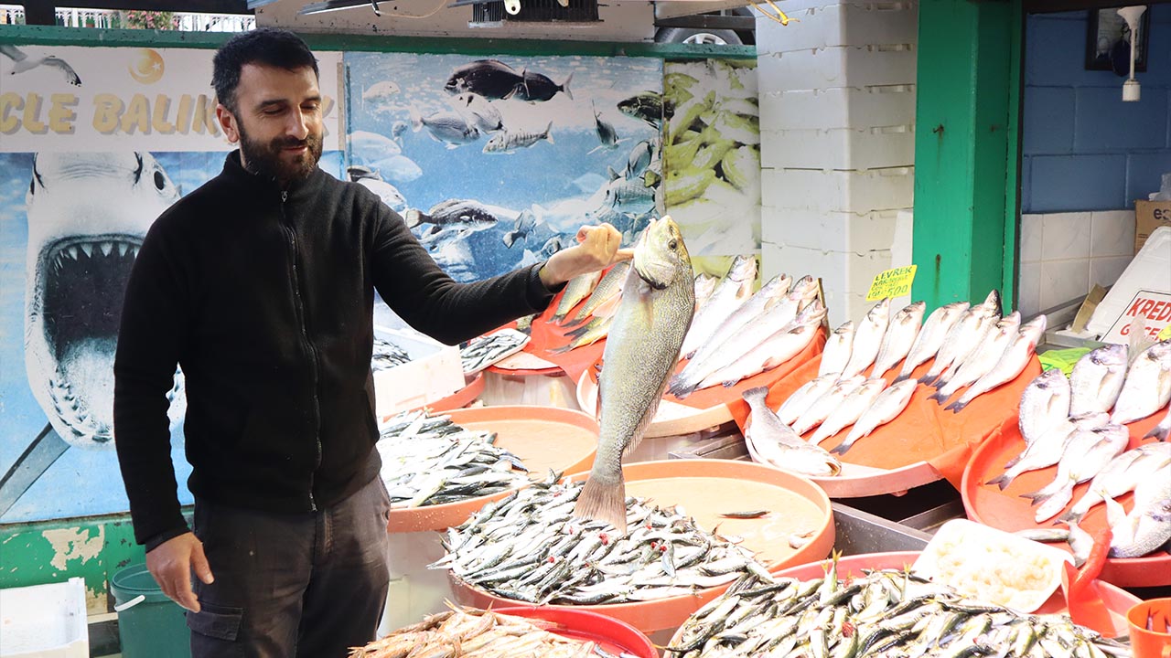 Yalova Merkez Balik Pazar Avcilik Sezon Hamsi Bolluk Fiyatlar Talepler Haber (3)