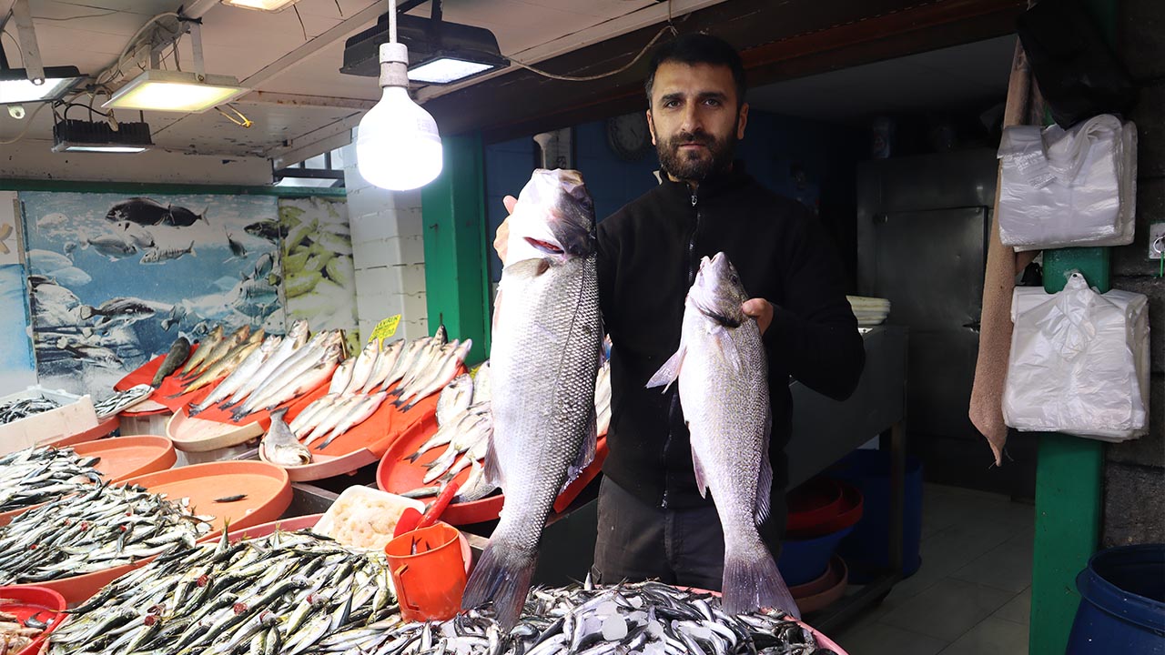 Yalova Merkez Balik Pazar Avcilik Sezon Hamsi Bolluk Fiyatlar Talepler Haber (4)