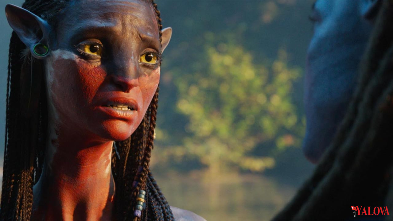 Yalova Ozdilek Sinema Avatar James Cameron Ates Kul Beyazperde (1)