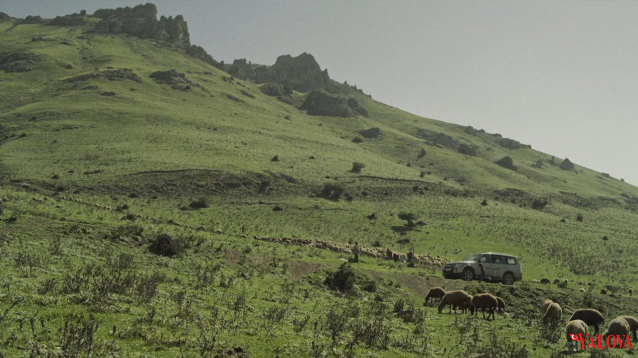 Yalova Sinema Bulusma Iran Yapim Hit The Road Inceleme (2)