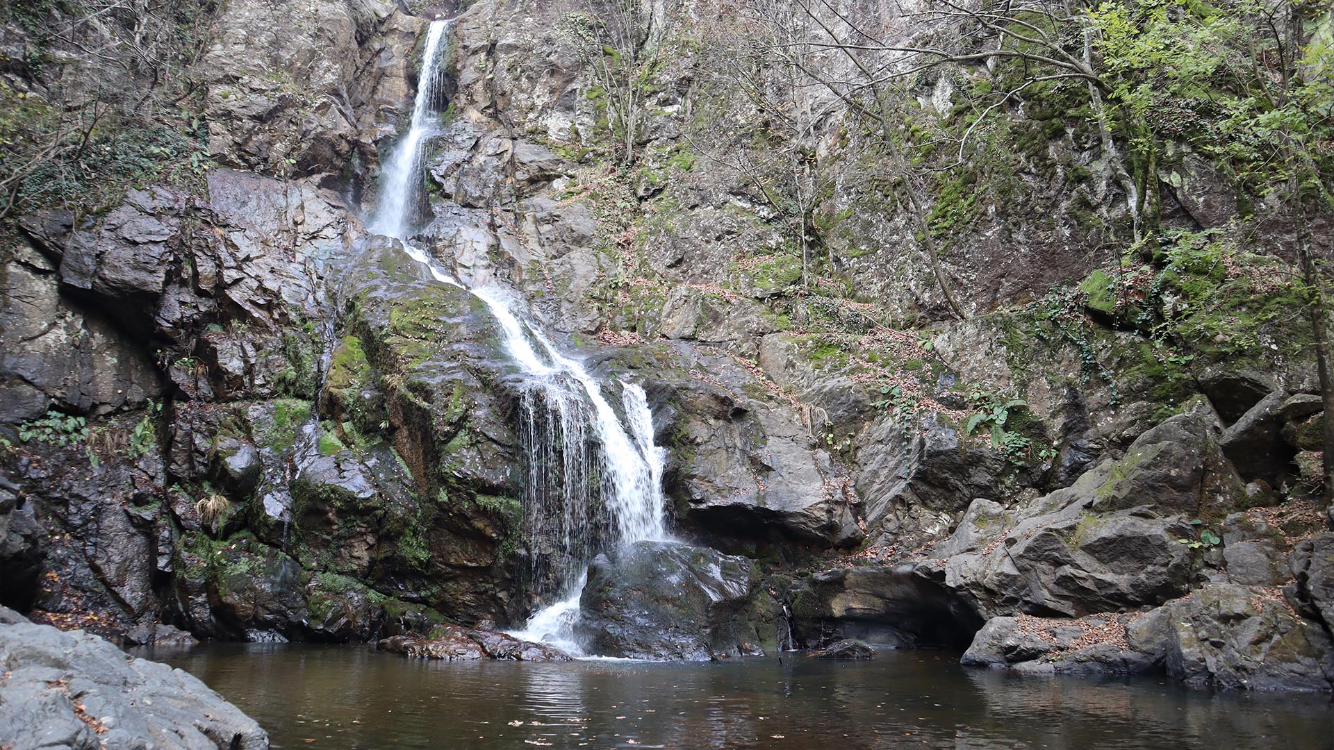 Yalova Çınarcık Erikli Şelale Orman (4)