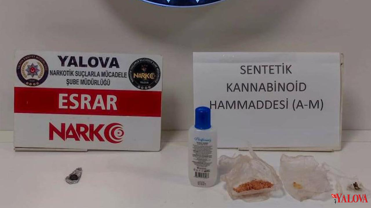 Yalova Il Emniyet Mudurluk Narkotik Uyusturucu Operasyon Gozaltilar (2)