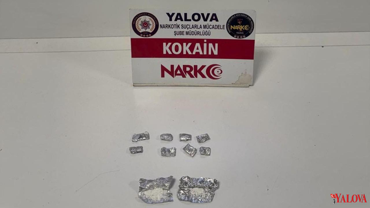 Yalova Il Emniyet Mudurluk Narkotik Uyusturucu Operasyon Gozaltilar (4)