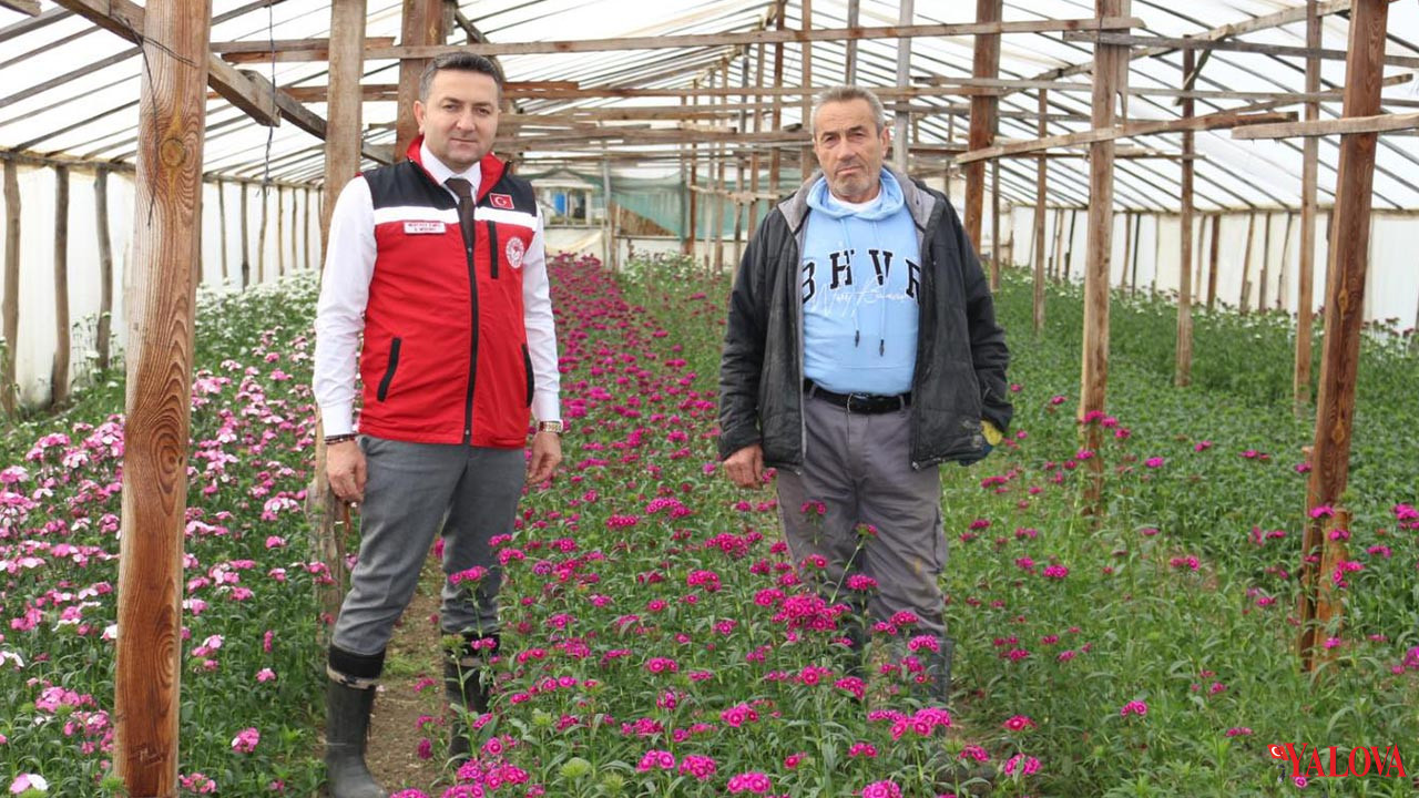 Yalova Il Tarim Orman Mudurluk Sebboy Uretim Turkiye Birincilik Ciftci Gorusme (3)