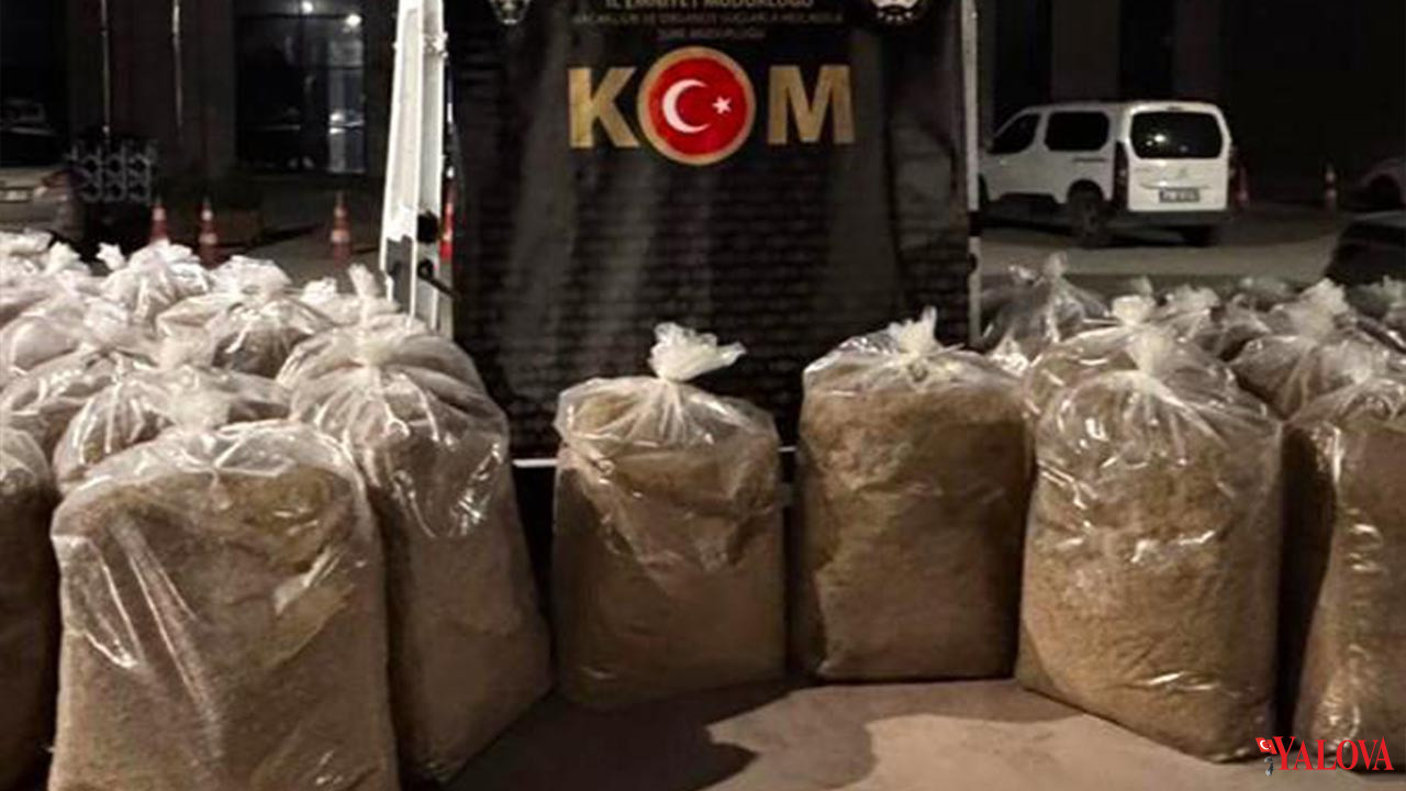 Yalova Kacakcilik Organize Suclarla Mucadele Il Emniyet Operasyon (3)