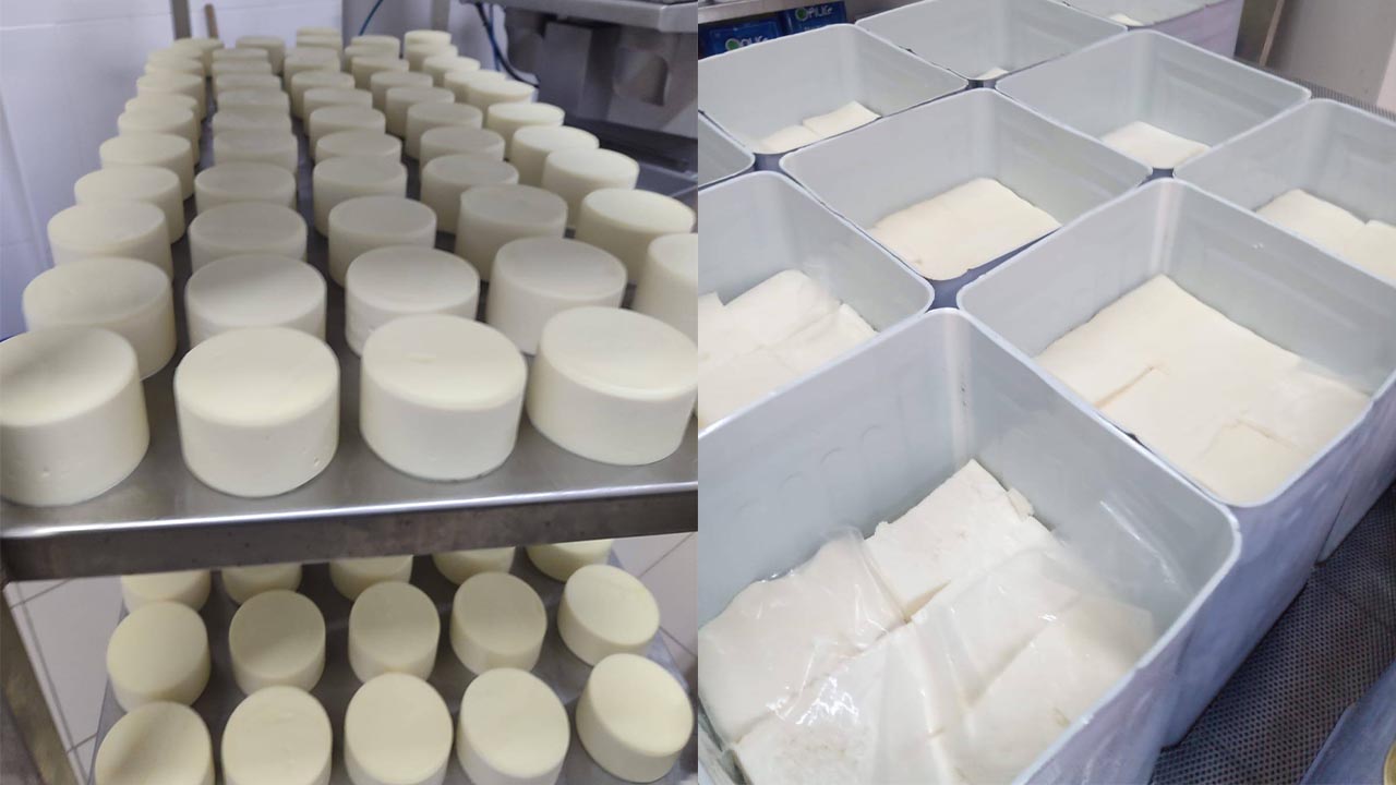 Yalova Üniversitesi’nin Kırsal Kalkınma Projesine Marka’dan Destek (2)