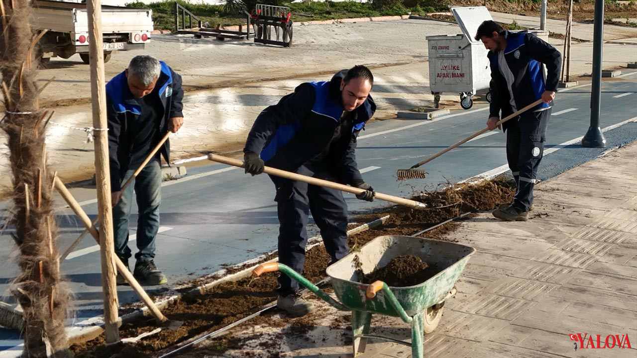Yılandar Sahili Yeşil Alanlarla Güzelleşti (3)