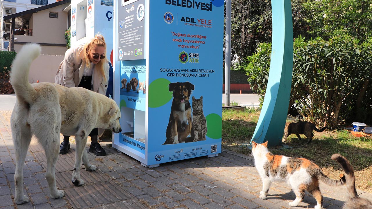 Çiftlikköy’de 120 Bin Atık 12 Ton Mamaya Dönüştü (2)