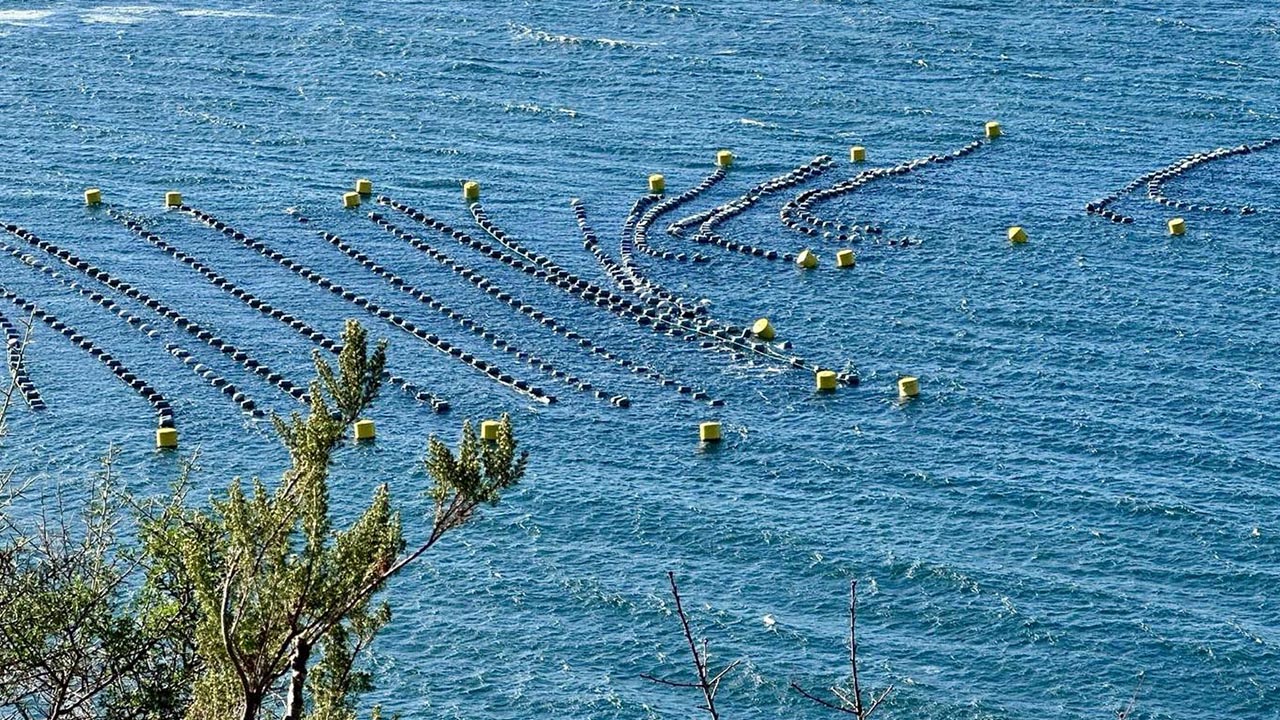Fırtına Tarımı Vurdu, Ekipler Sahaya İndi (2)
