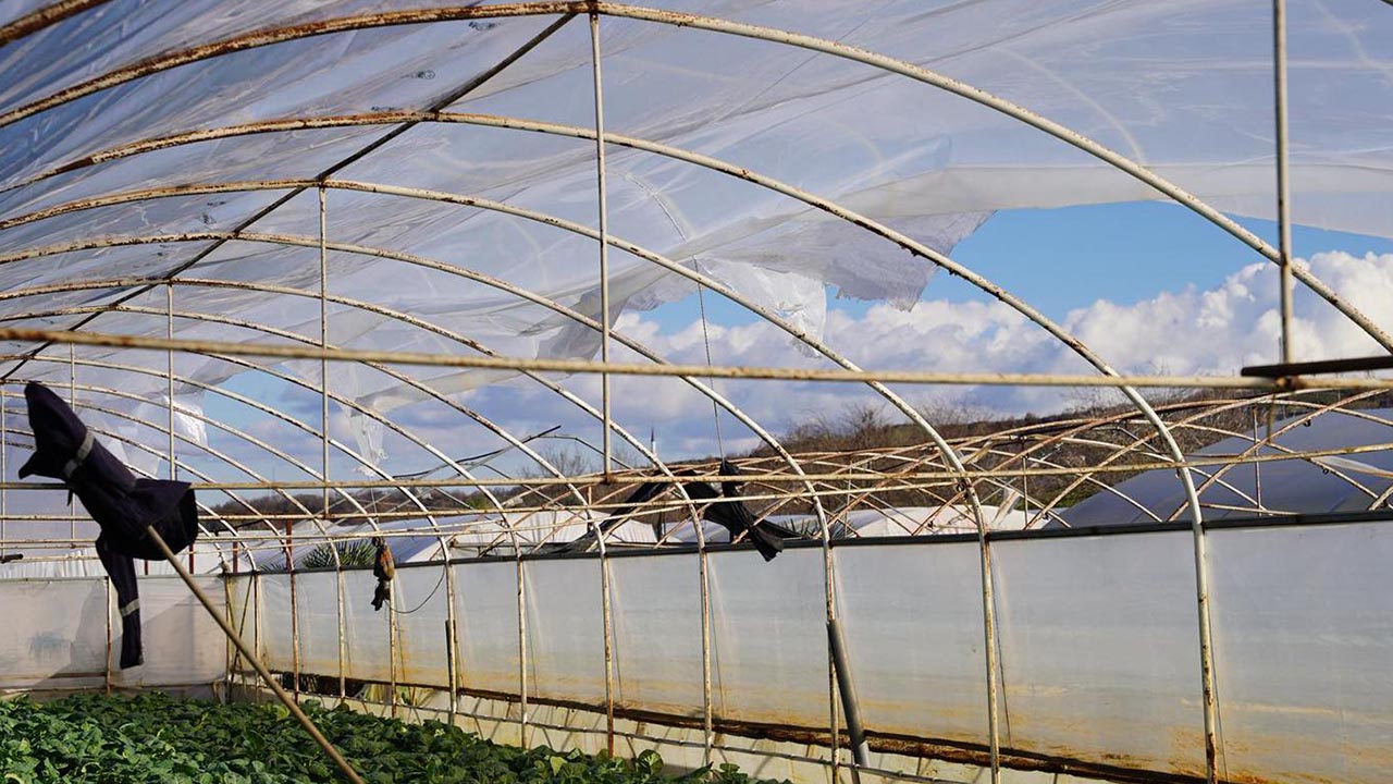 Kadıköy’de Fırtına Seralara Zarar Verdi (2)