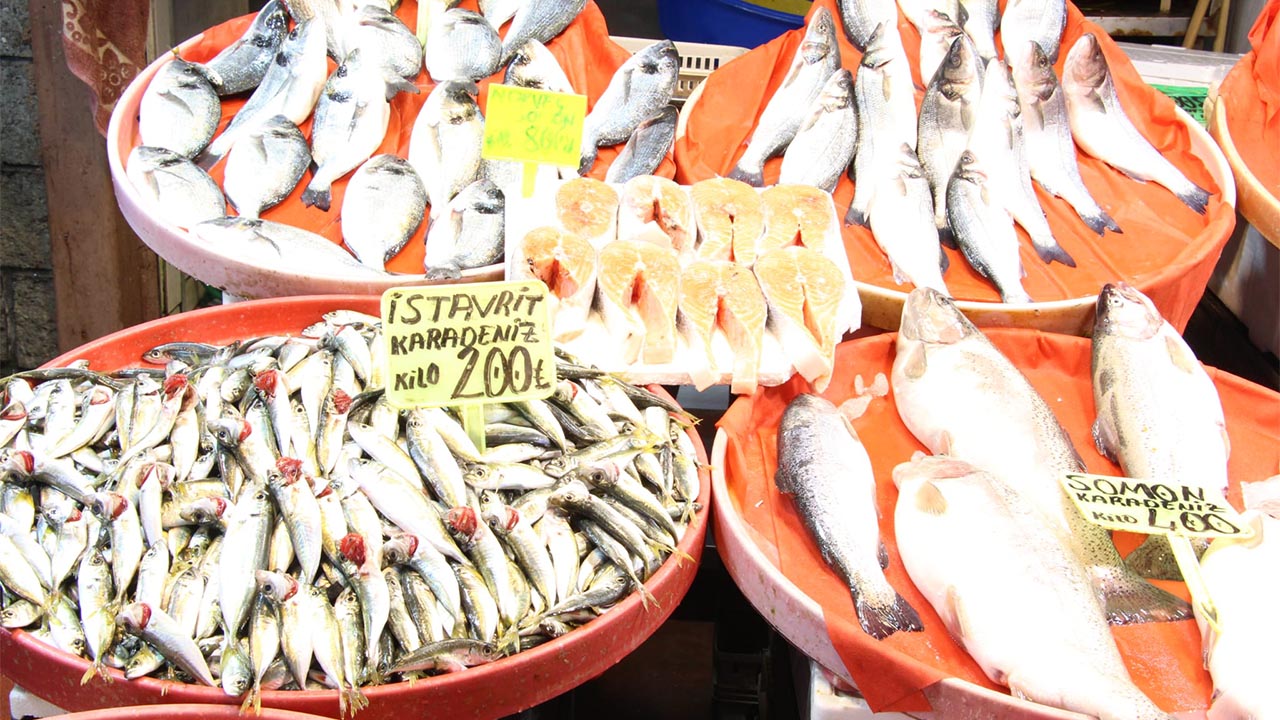 Yalova Merkez Balik Pazari Yeni Yil Ocak Ayi Sezon Fiyatlar Istavrit Bolluk (1)