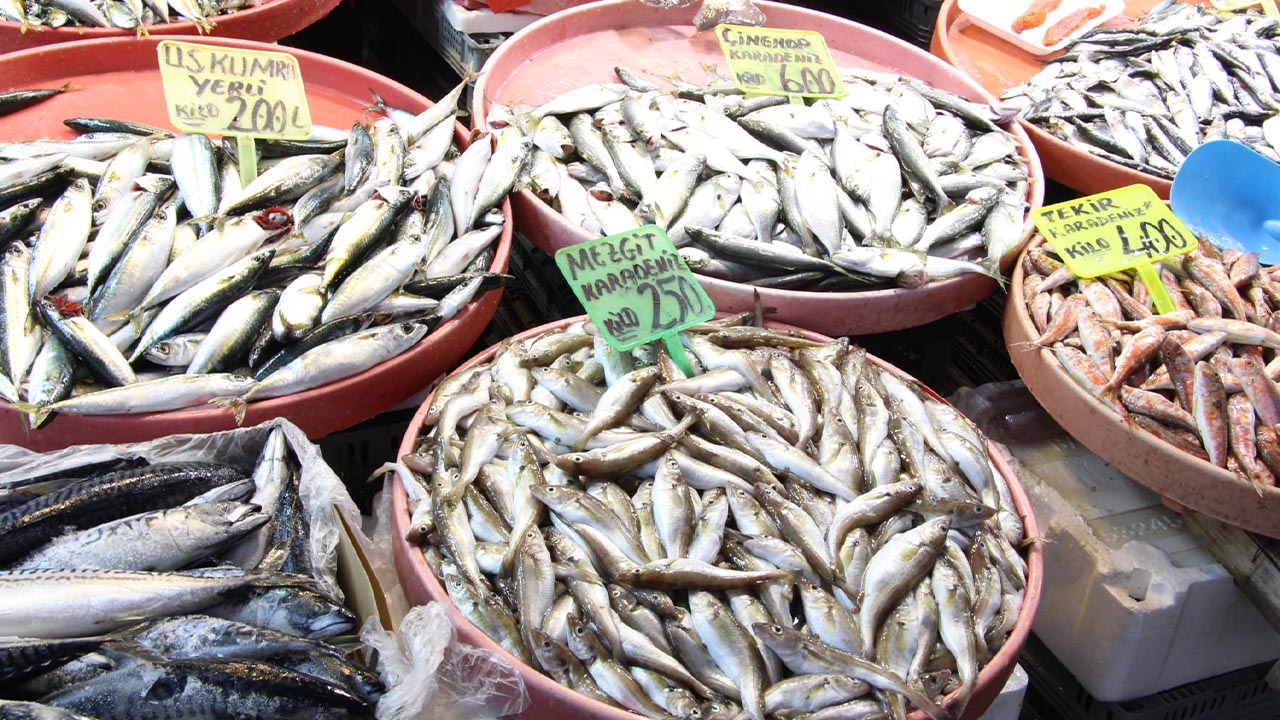 Yalova Merkez Balik Pazari Yeni Yil Ocak Ayi Sezon Fiyatlar Istavrit Bolluk (2)