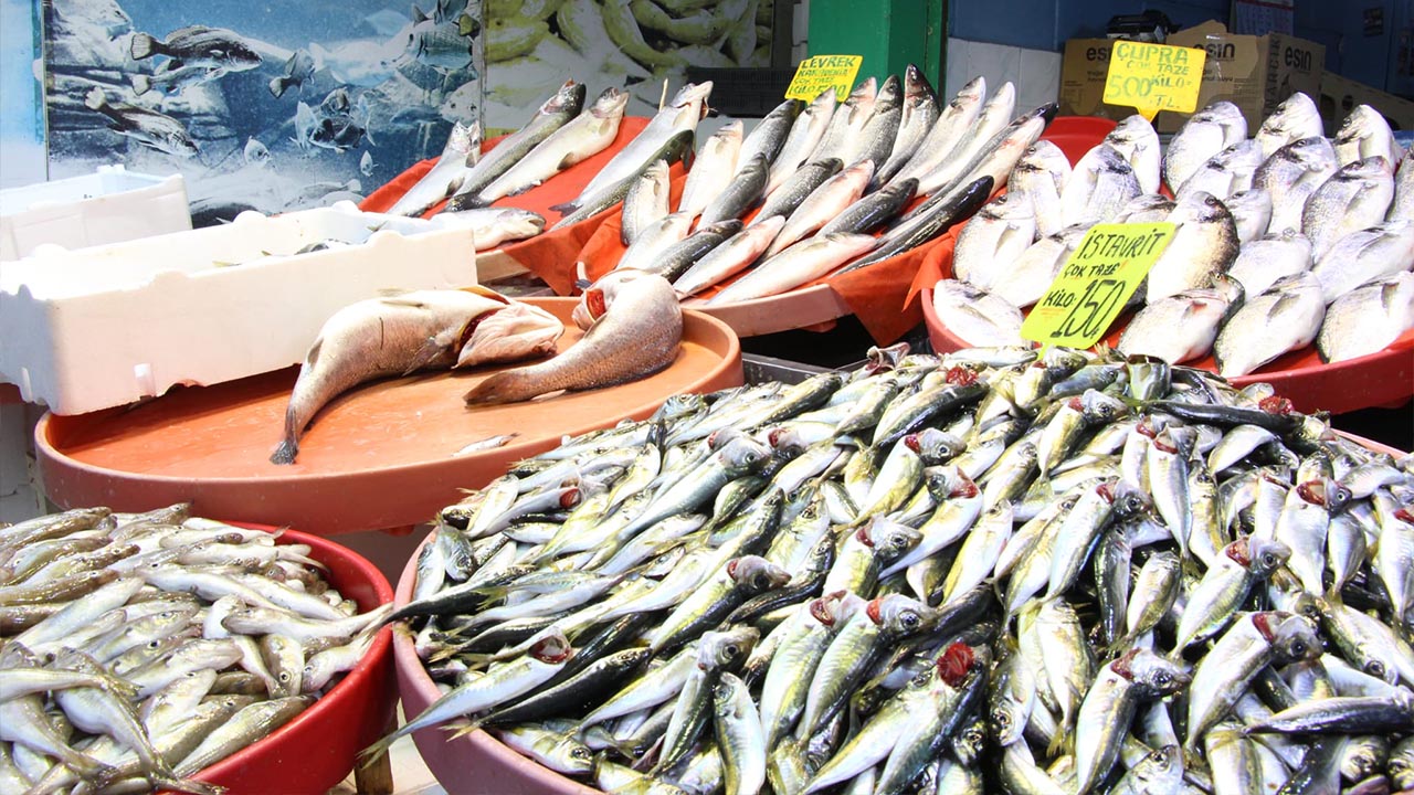 Yalova Merkez Balik Pazari Yeni Yil Ocak Ayi Sezon Fiyatlar Istavrit Bolluk (6)