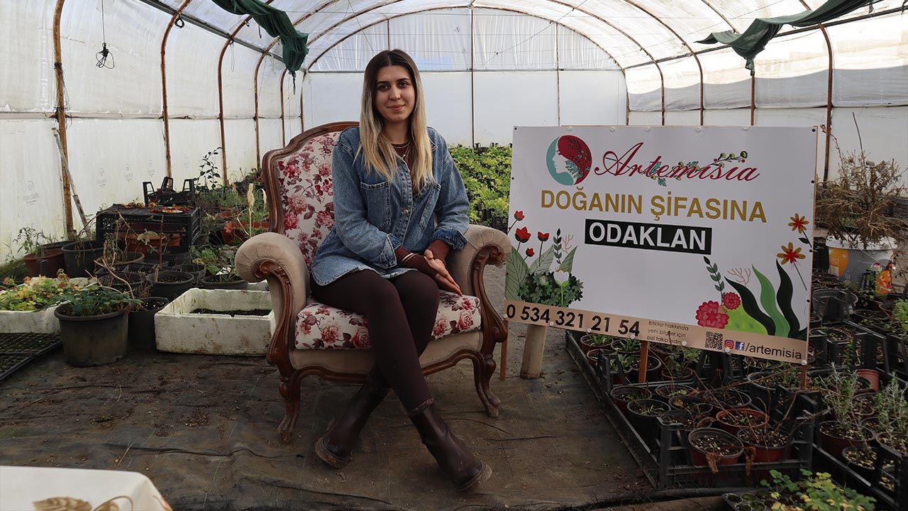 Yalova Tibbi Aromatik Bitki Sera Haber (3)