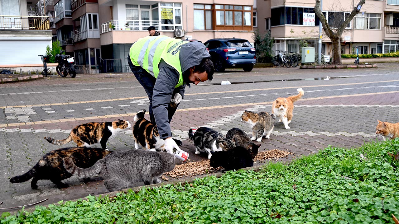 Sokakta Bulunan Can Dostlarımız Unutulmadı (1)
