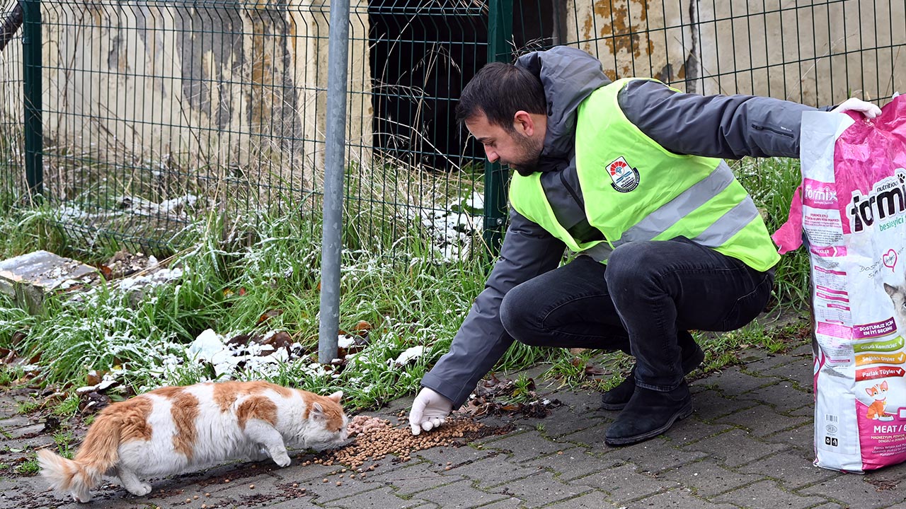Sokakta Bulunan Can Dostlarımız Unutulmadı (3)