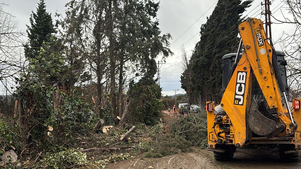 Yalova Ciftlikkoy Agac Haber Firtina (1)