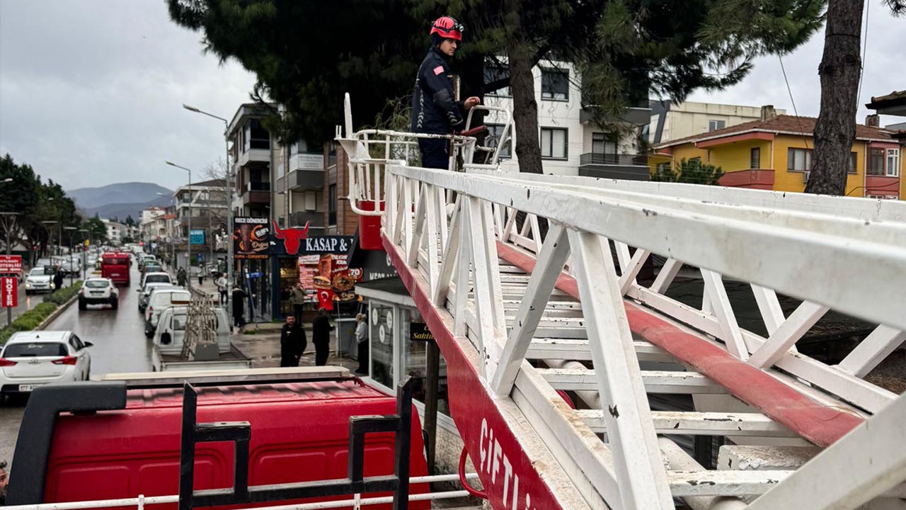 Yalova Ciftlikkoy Agac Haber Firtina (4)