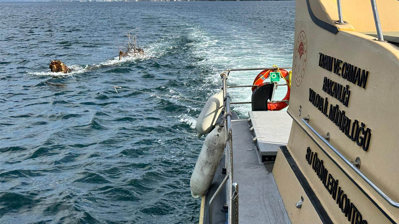 Yalova Il Tarim Orman Mudurluk Marmara Deniz Agac Tehlike (1)