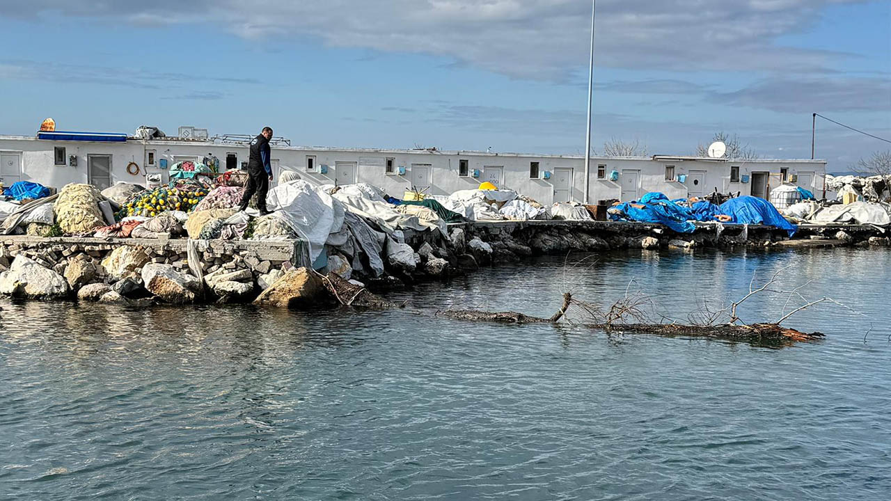 Yalova Il Tarim Orman Mudurluk Marmara Deniz Agac Tehlike (2)