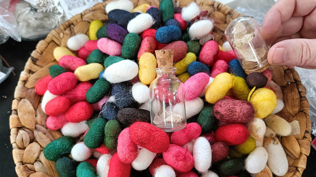 Yalova Kültürü Romanya’da Tanıtıldı Haber (3)