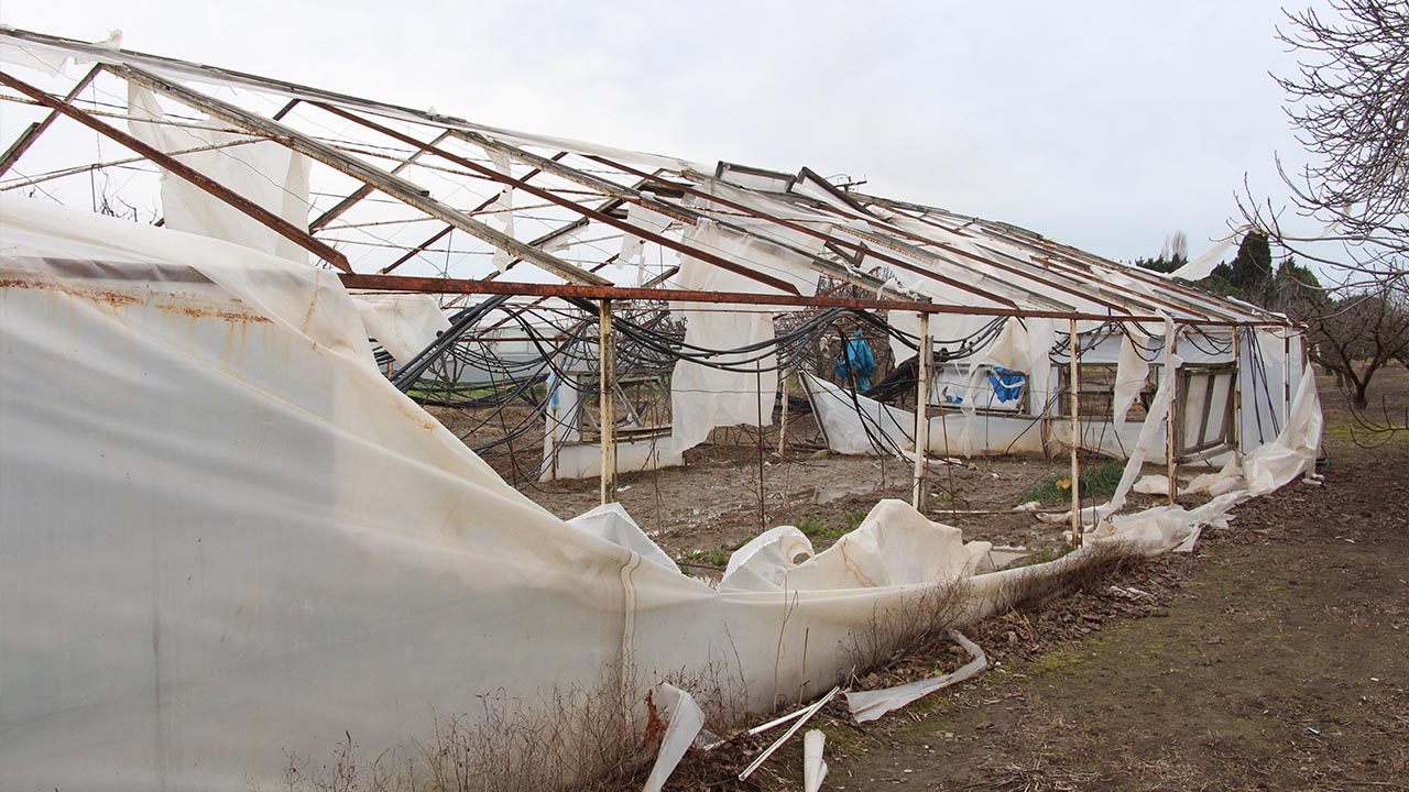 Yalova Sus Bitkiler Ureticiler Susbir Baskan Lodos Felaket Sera Zarar (3)