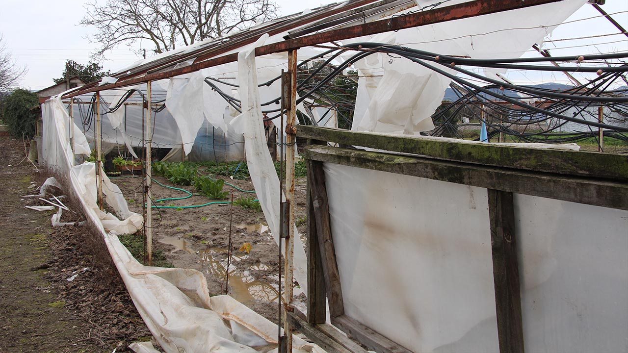 Yalova Sus Bitkiler Ureticiler Susbir Baskan Lodos Felaket Sera Zarar (4)