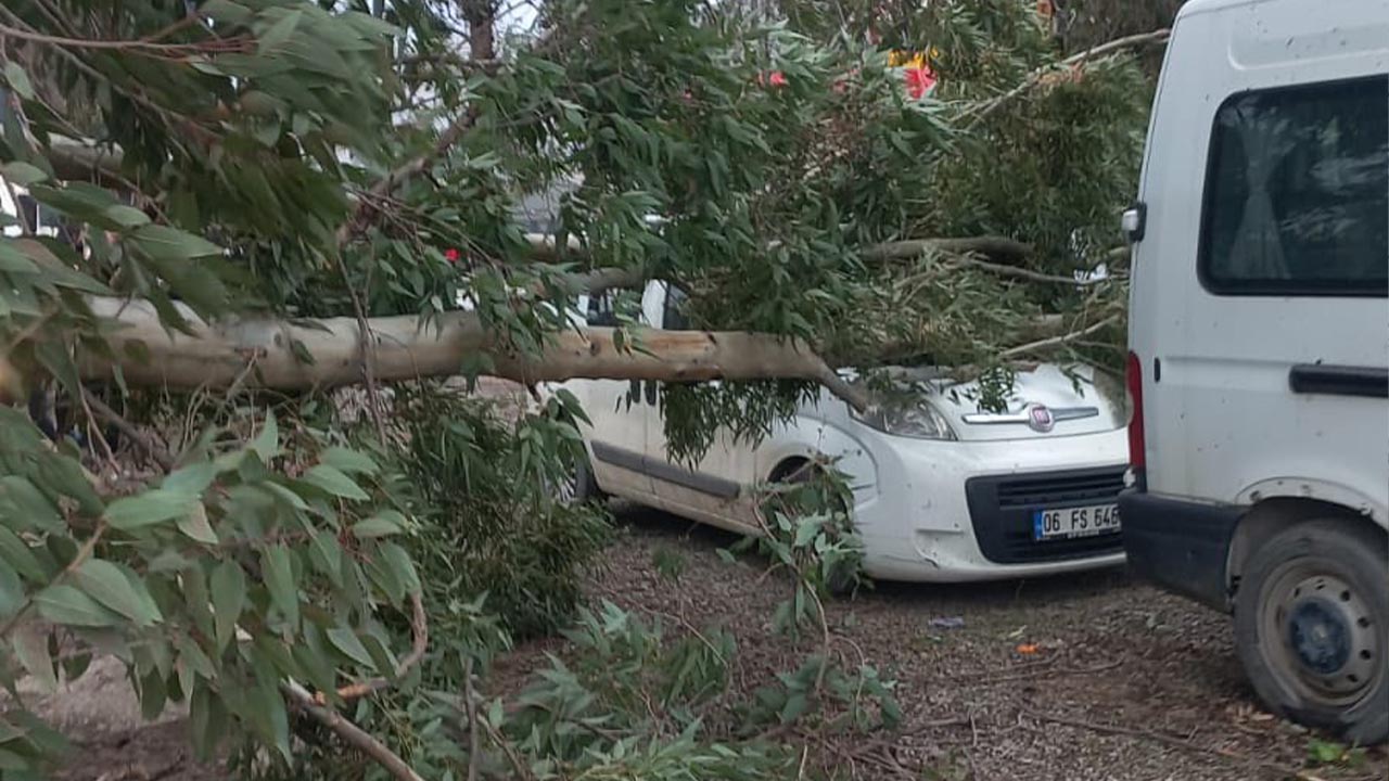 Yalova’da Fırtına Hayatı Olumsuz Etkiledi (4)